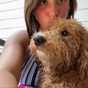 Meet your Posher, Casey